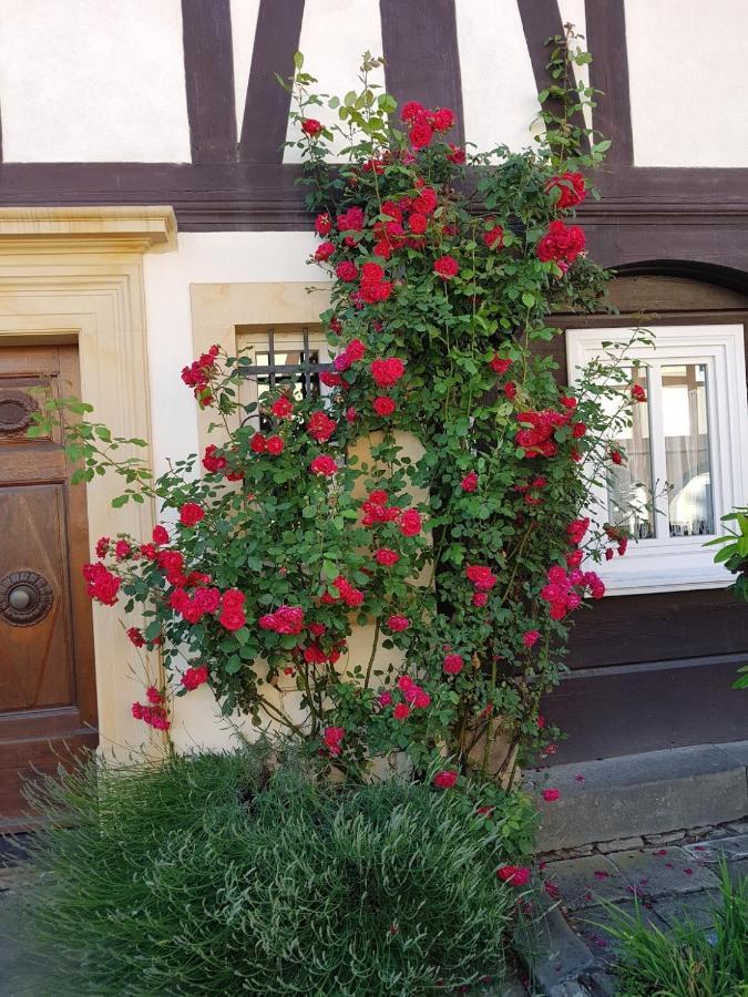 Fewo Niedere Muehlwiese Apartman Großschönau Kültér fotó